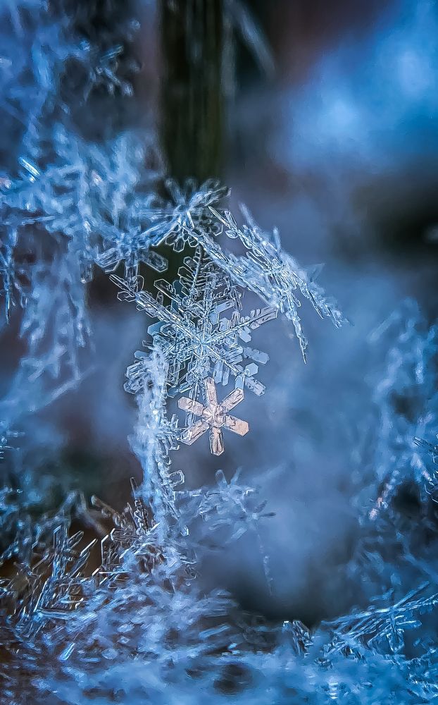 Photograph by Андрей Косяк