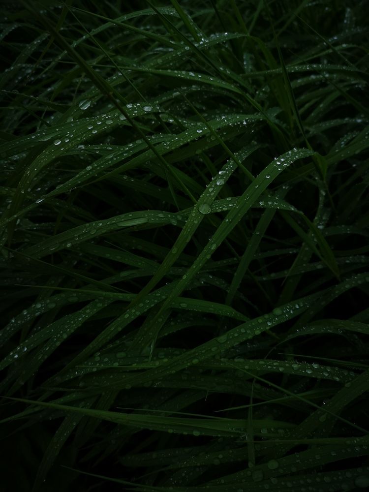 Photograph by Frolova Nataliya