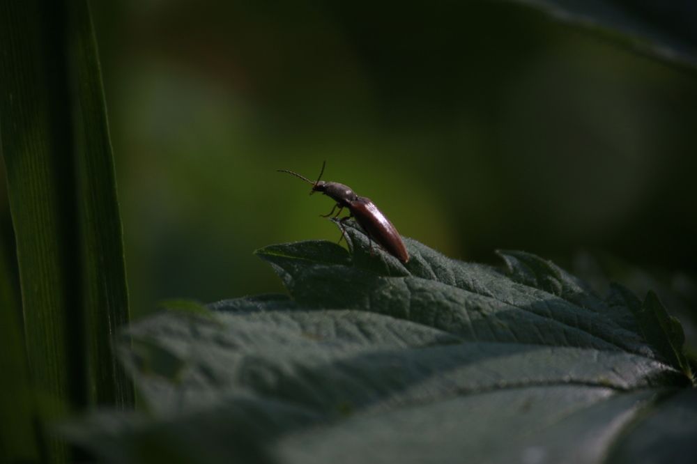 Photograph by Владислав Капанов
