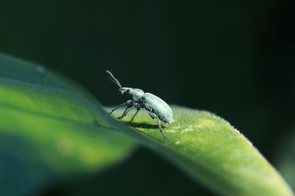 Photograph by Владислав Капанов
