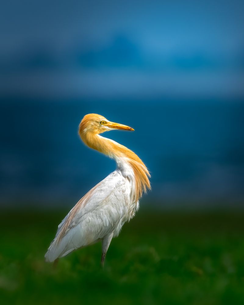 Photograph by Vishal Lokare