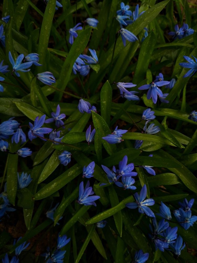 Photograph by Frolova Nataliya