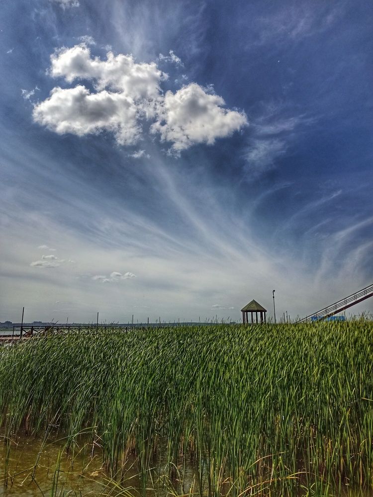 Photograph by Ольга Рогозина