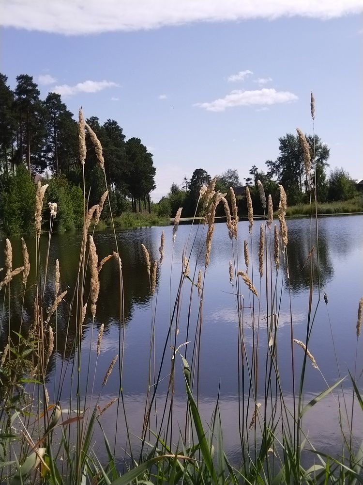Photograph by Наталья Сметанина