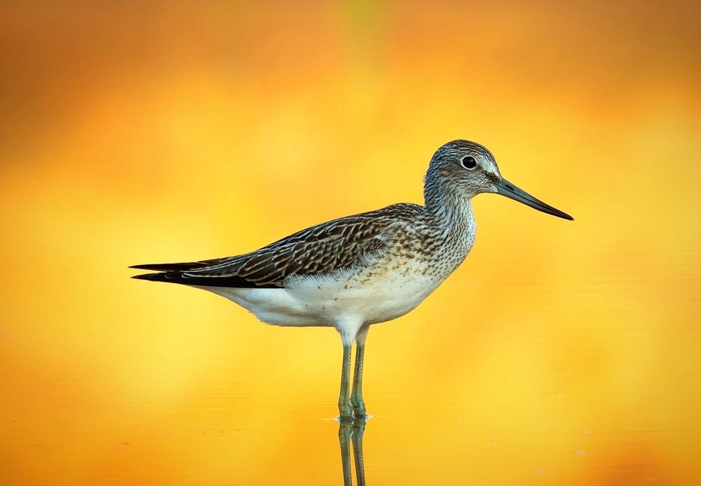 Photograph by Павел Краснослободцев