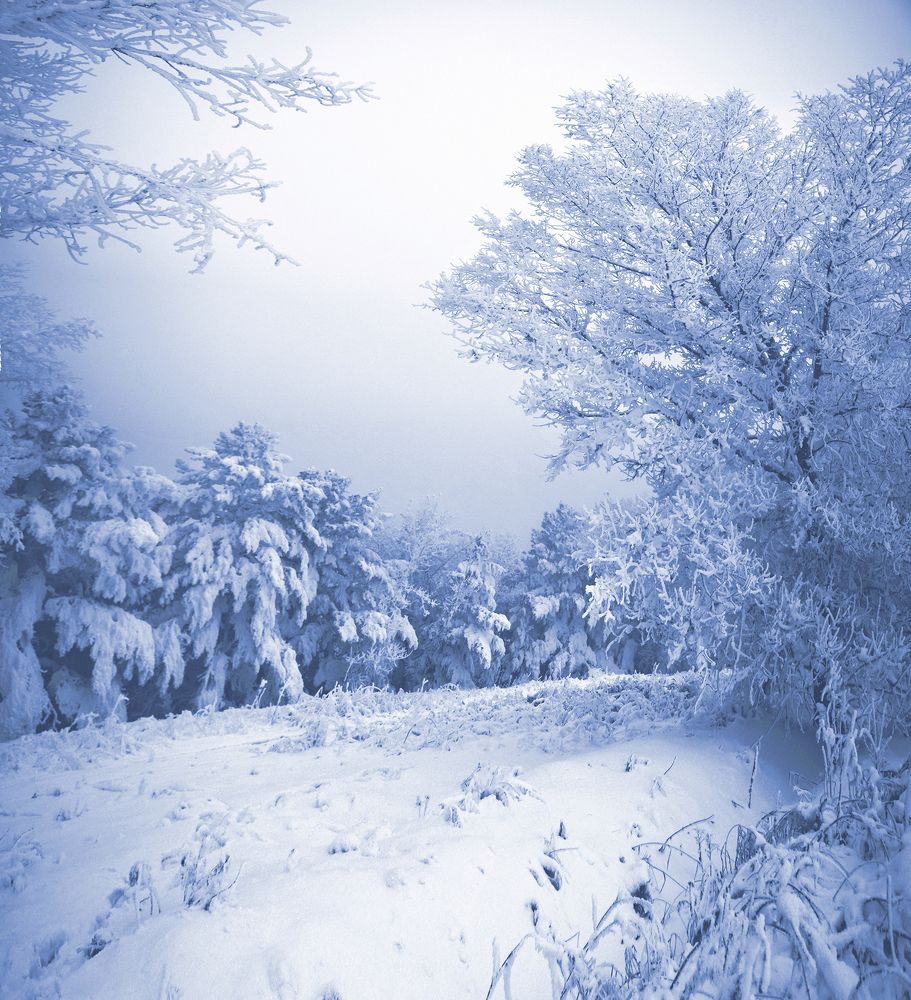 Photograph by Светлана Крат