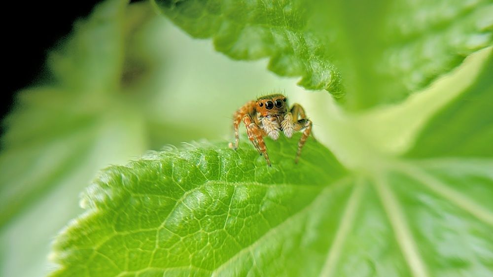 Фотография автора Ganesh Varma