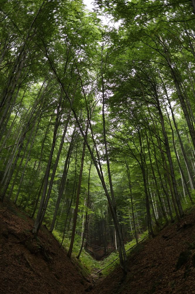 Photograph by Виктория Бурова