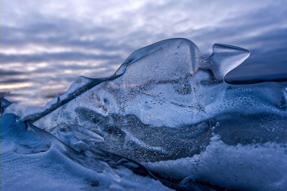 Photograph by Марина Корреа Ластра