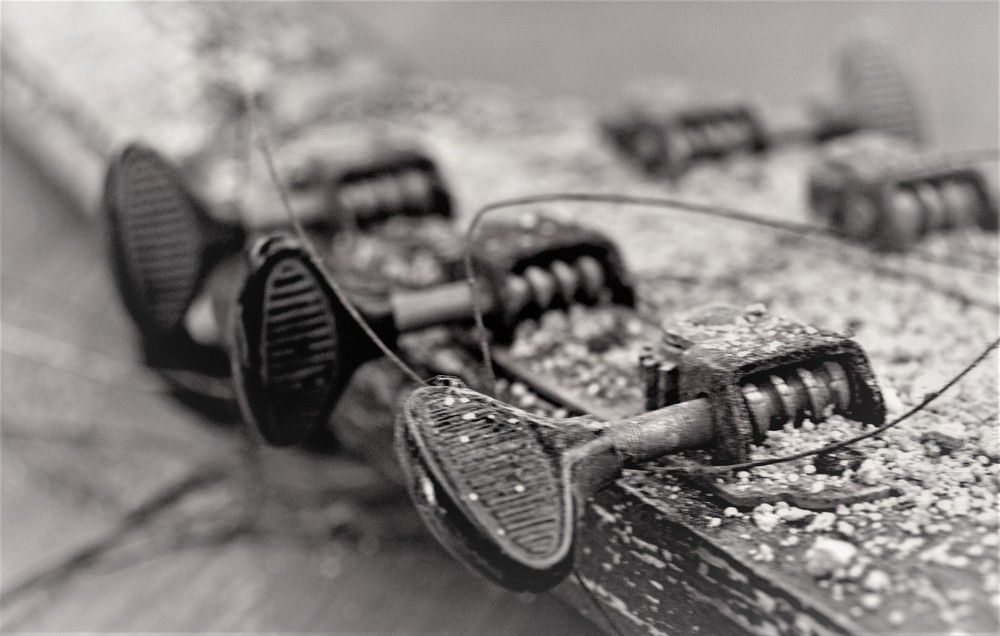 Photograph by Дмитрий Грысюк