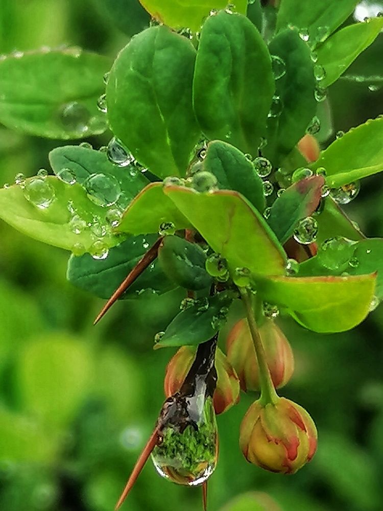 Photograph by Лилия Багдасарова