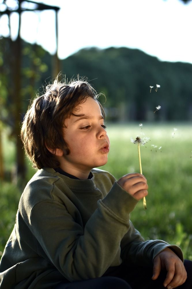 Photograph by Ilona Virse