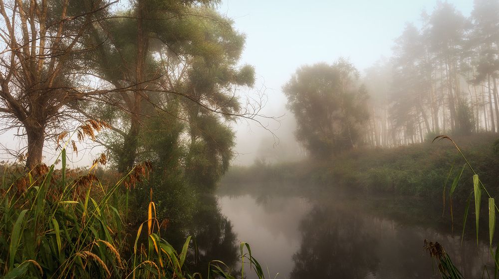 Photograph by Сергей Епишев