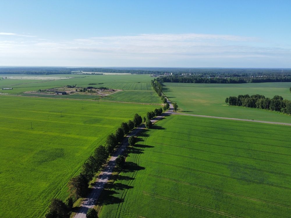 Photograph by Андрей Нурулин