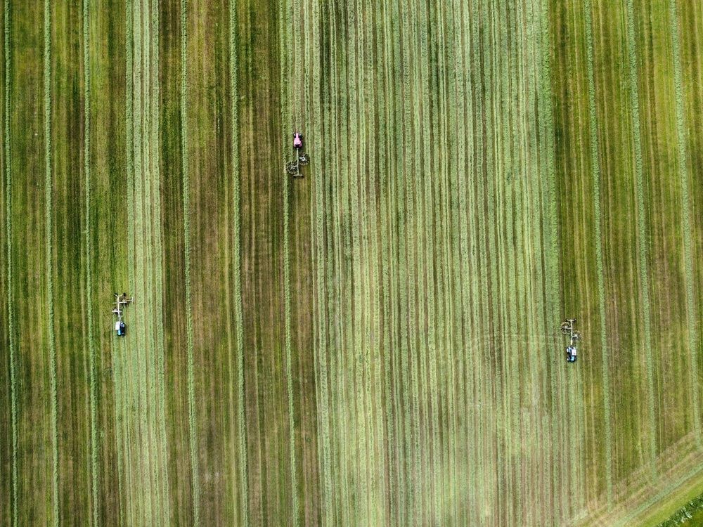 Photograph by Андрей Нурулин