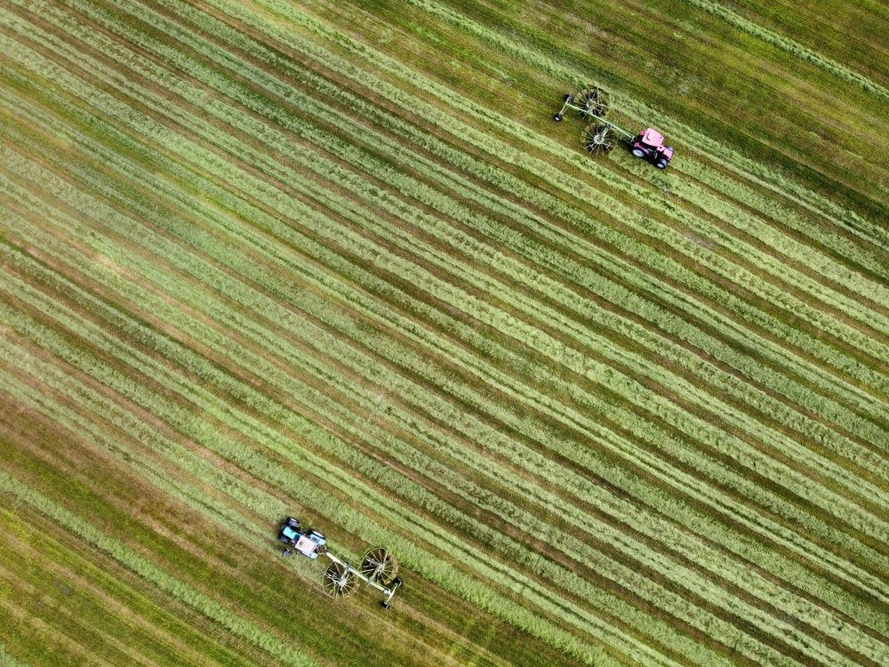 Photograph by Андрей Нурулин