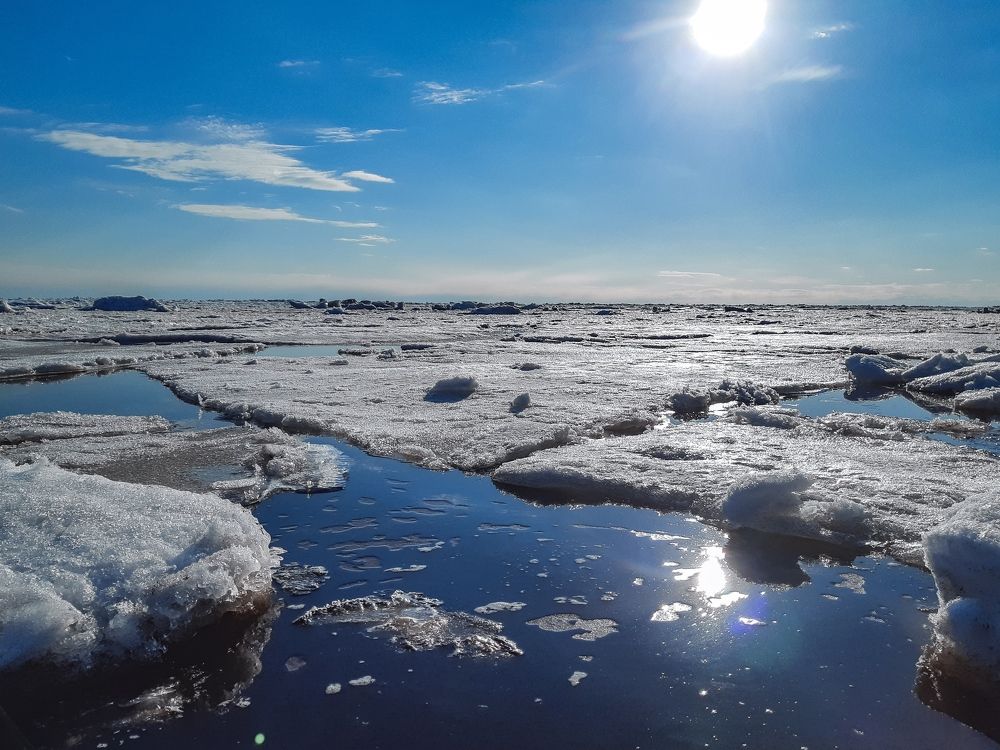 Photograph by Татьяна Сурова