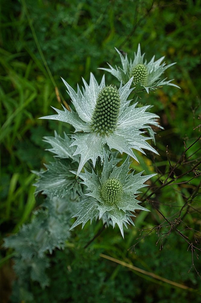 Photograph by Андрей Евтеев