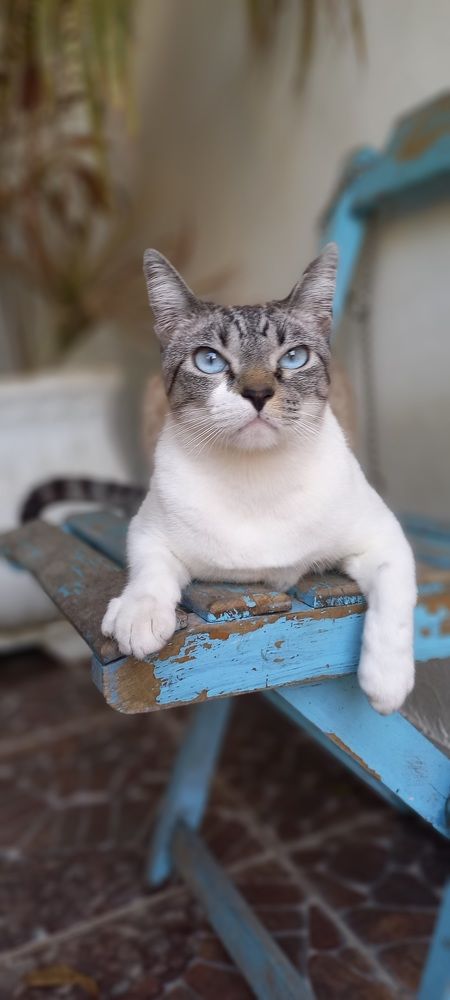 Фотография автора Marcia Araujo