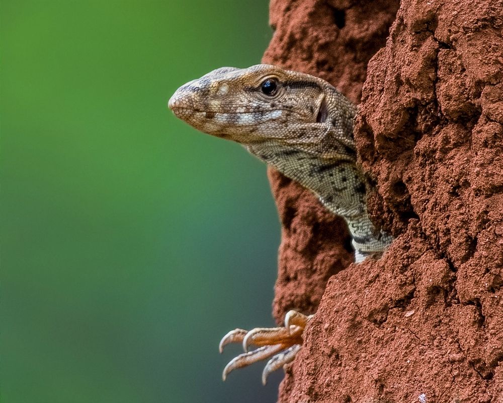 Photograph by Vishal Lokare