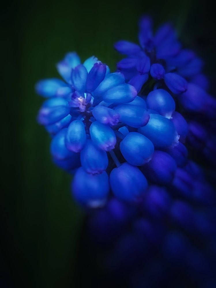 Photograph by Ольга Скиба