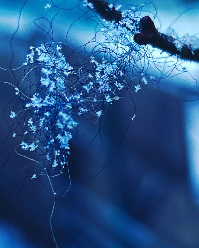 Photograph by Ольга Скиба