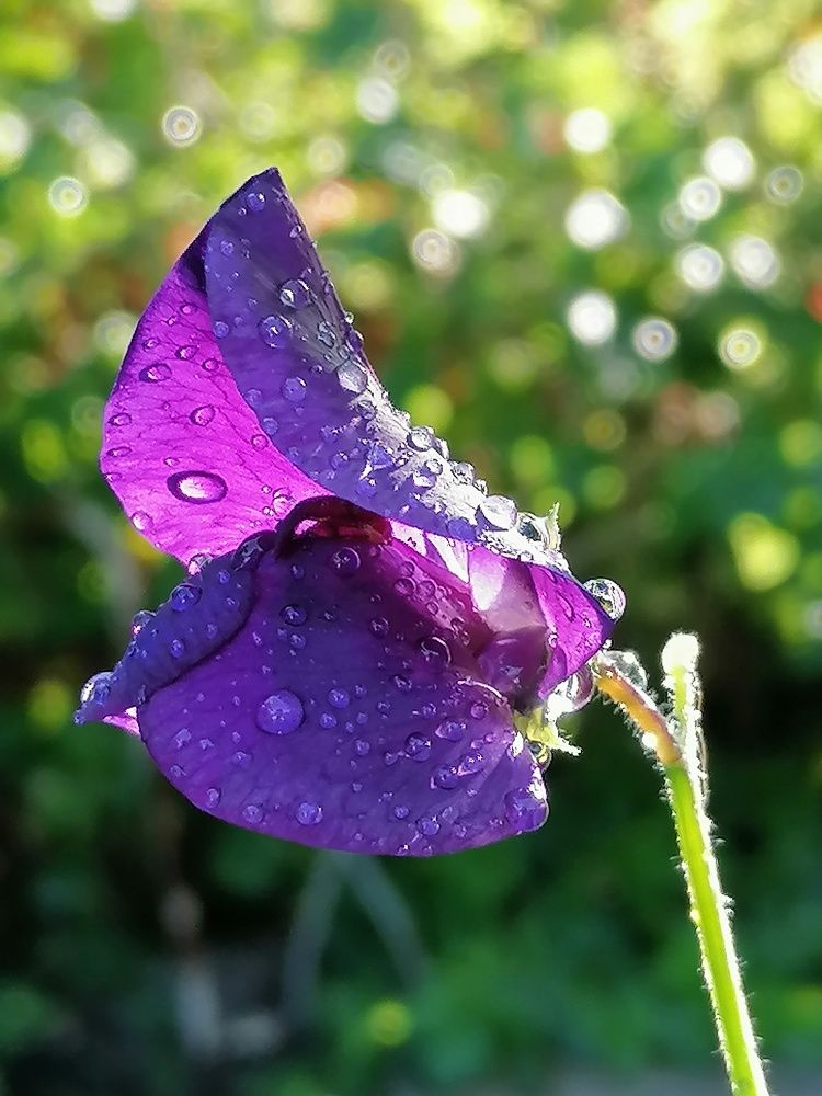 Photograph by Лилия Багдасарова