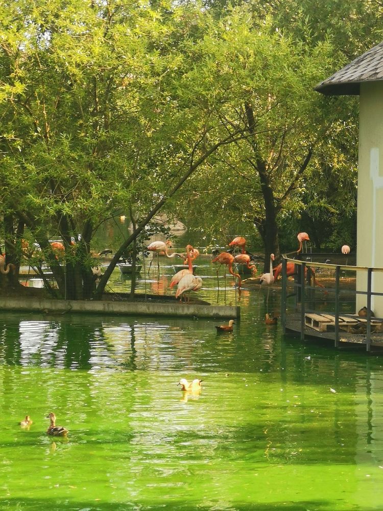 Фотография автора Хабиба Ахмедова