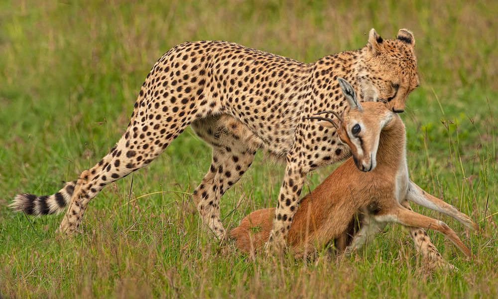 Photograph by Graeme Guy