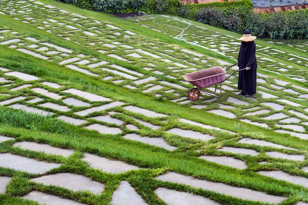 Photograph by Светлана