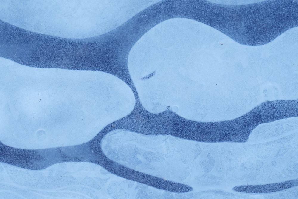 Photograph by Светлана