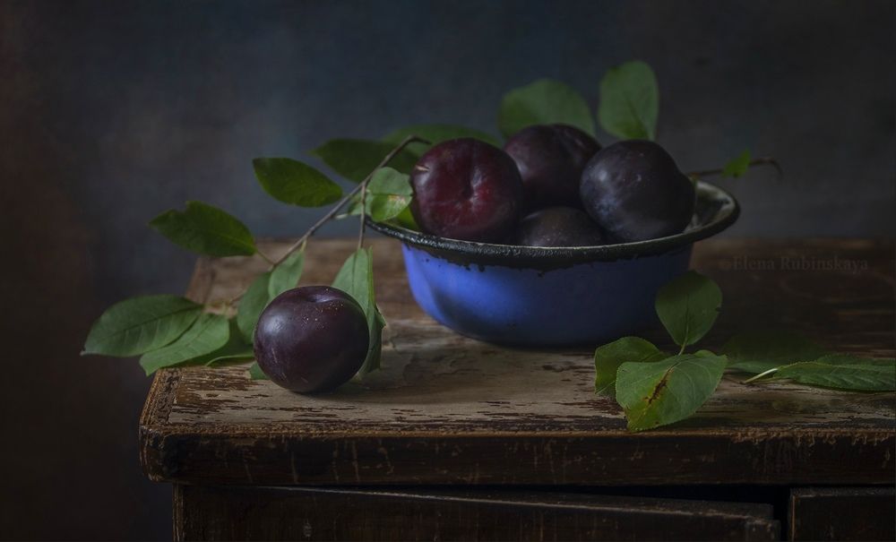 Photograph by Елена Рубинская