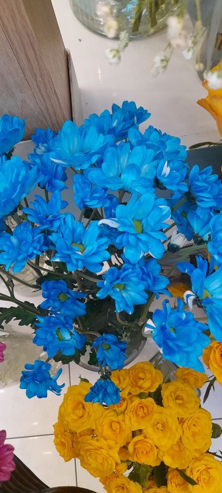 Фотография автора Revaz Topuria