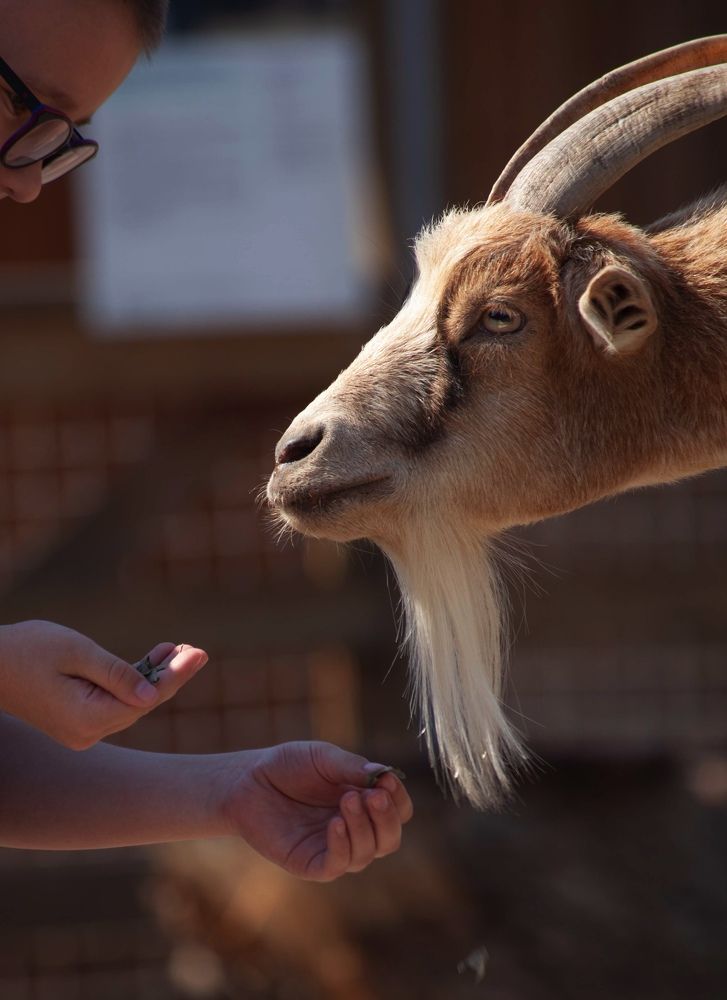 Фотография автора Galina Sa