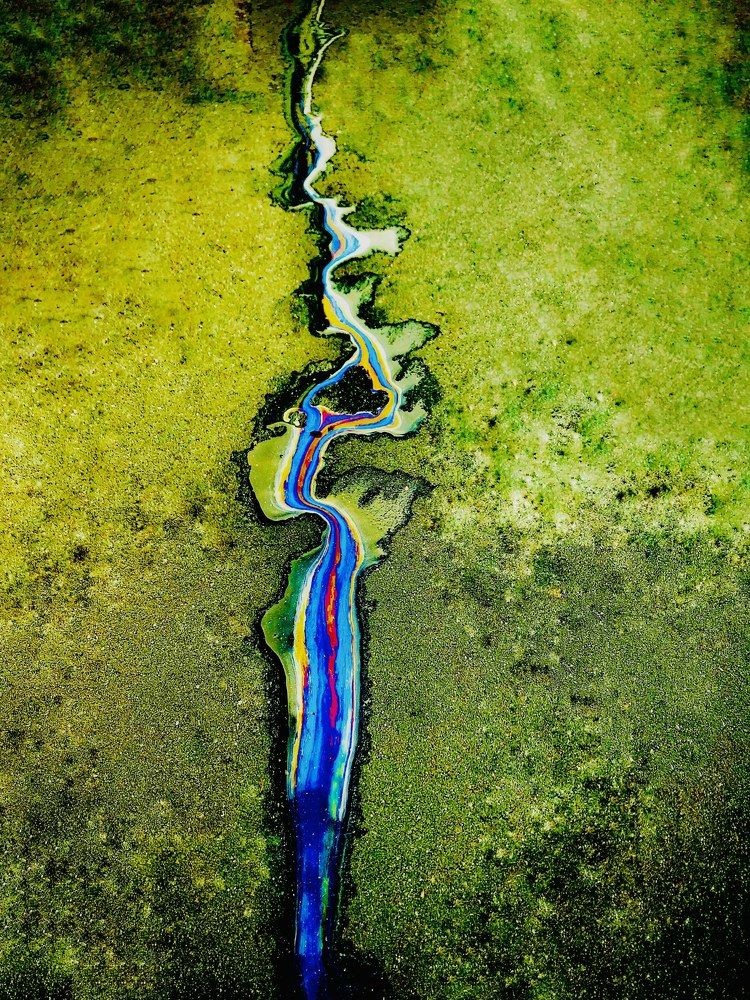 Фотография автора Galina Sa