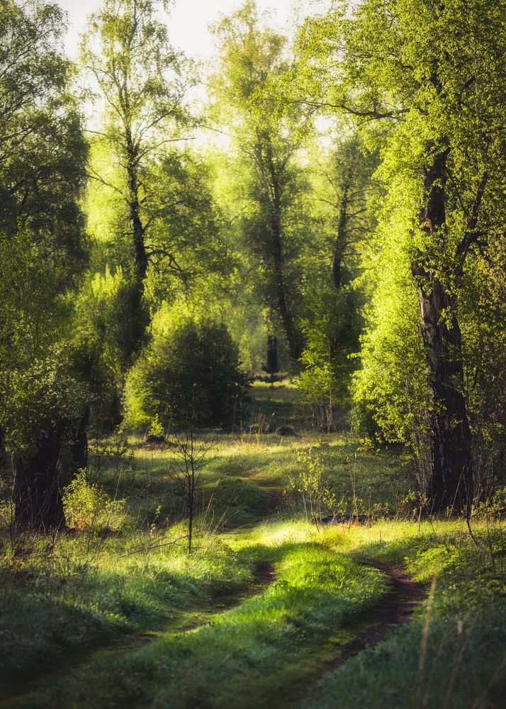 Photograph by Важенин Евгений