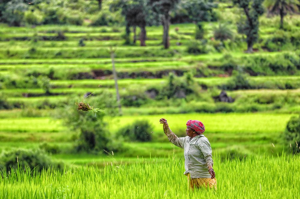 Фотография автора Bikash Das