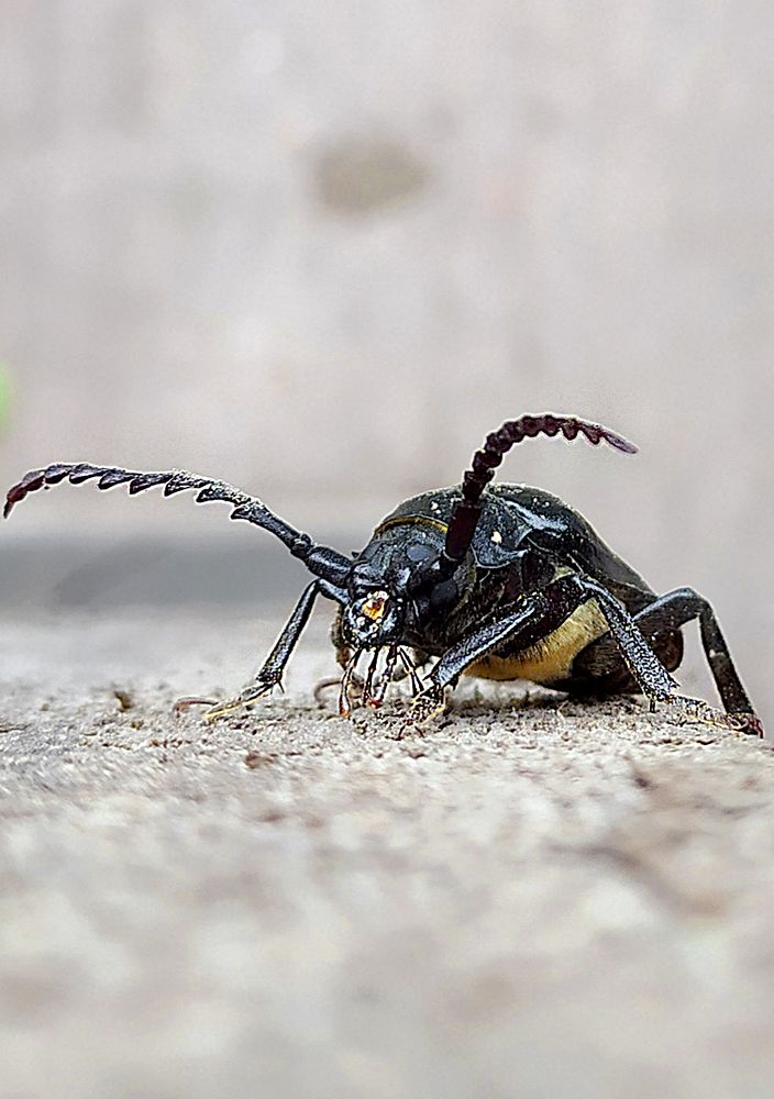 Photograph by Надежда