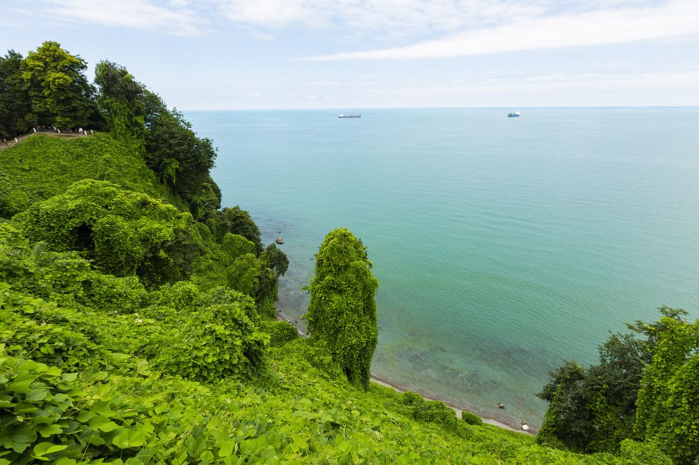 Фотография автора Валерий Каргин