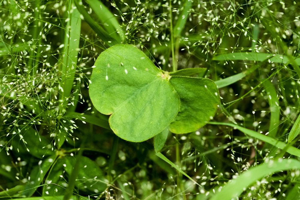 Photograph by Lee Justin Lik Tsz