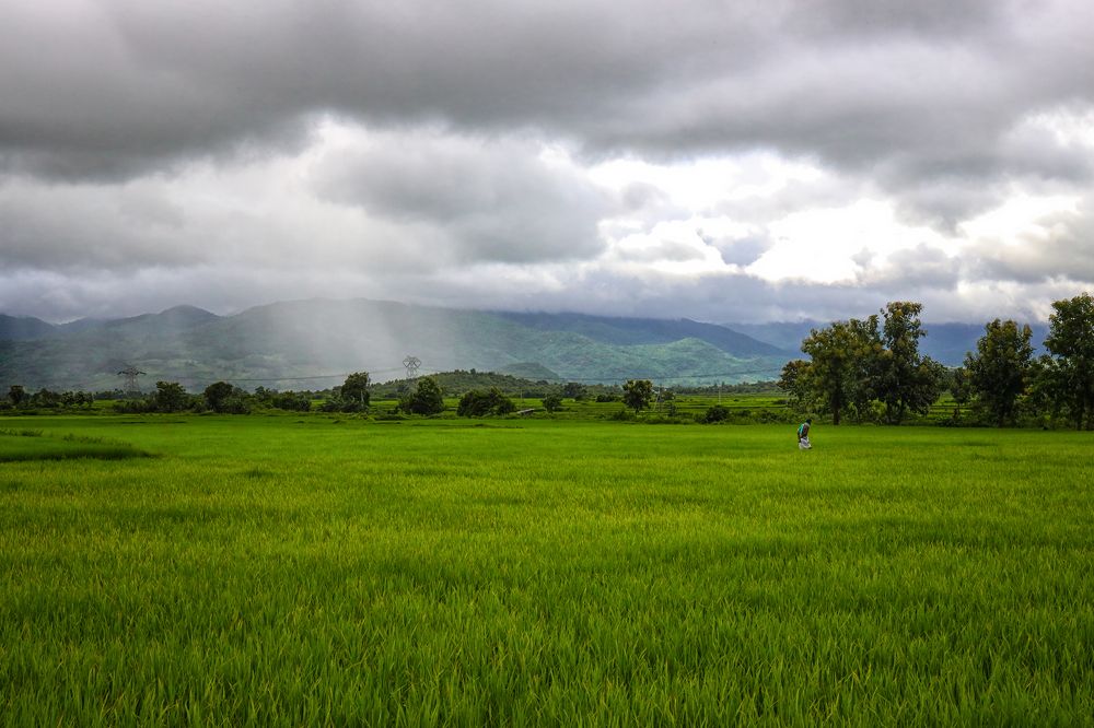 Фотография автора Bikash Das