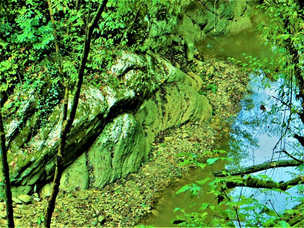 Photograph by Галина