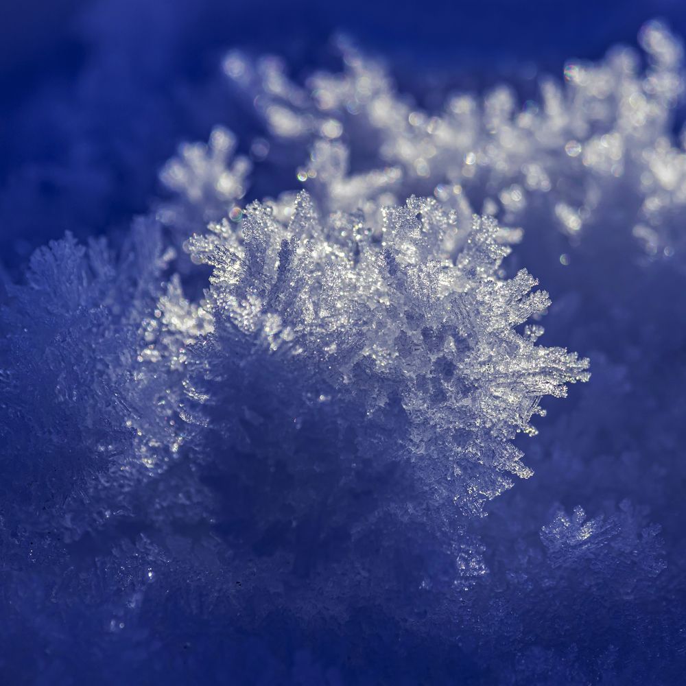 Photograph by Юлия Куликова