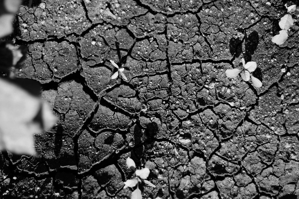 Photograph by Ganesh Pandian