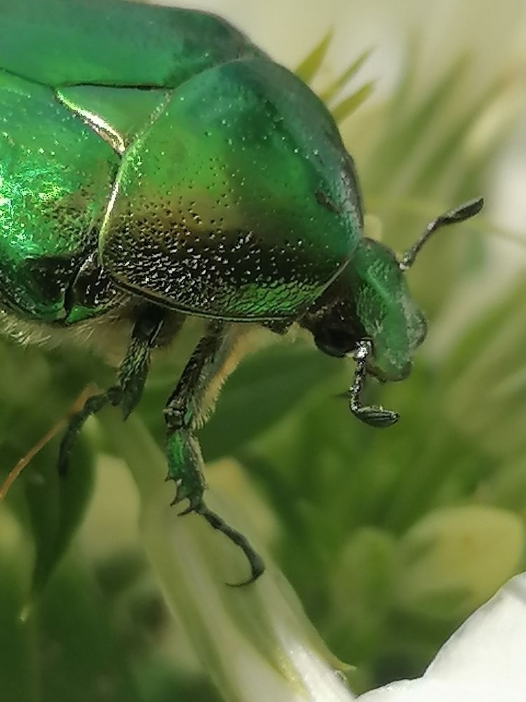 Photograph by Лилия Багдасарова