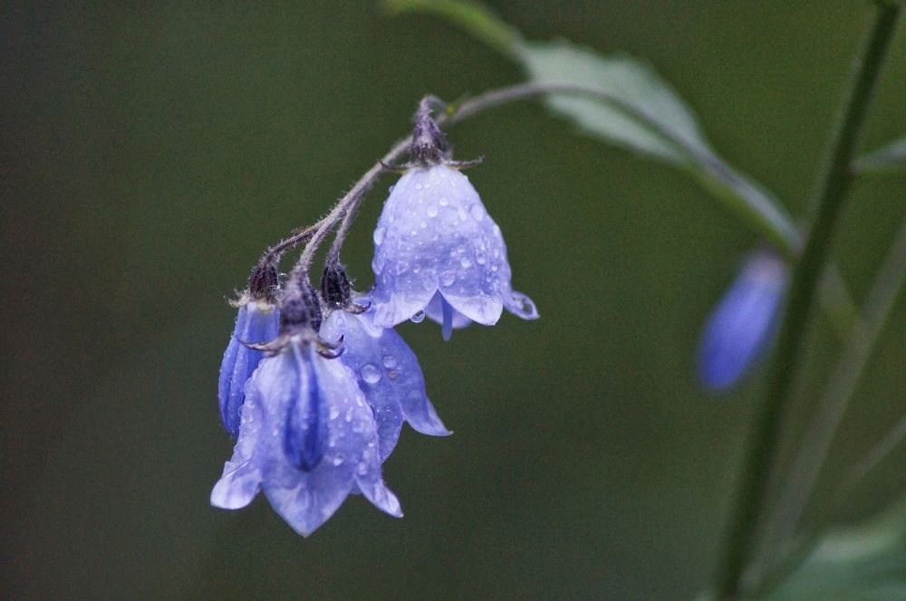 Photograph by Юрий Гау