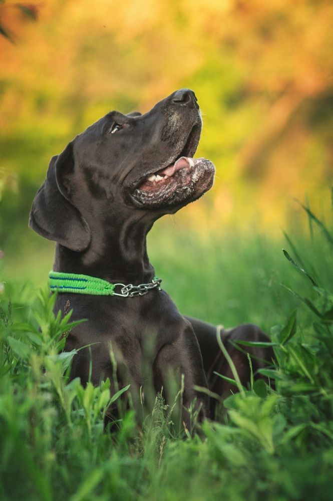 Photograph by Ангелина Ледовская