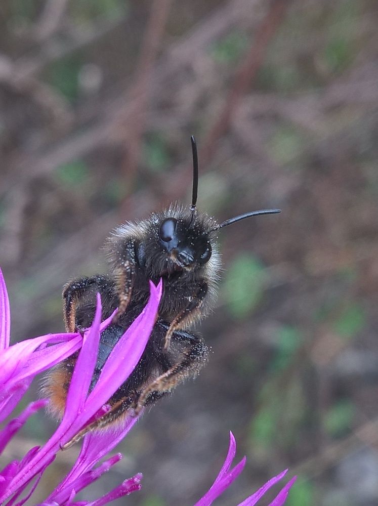 Photograph by Олеся Купча