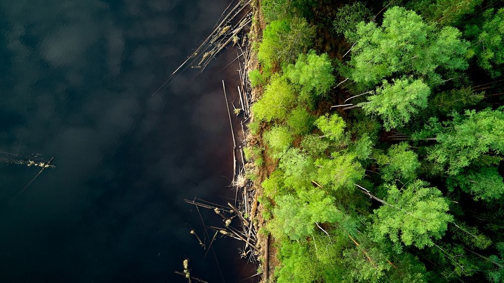 Photograph by Багурский Алексей