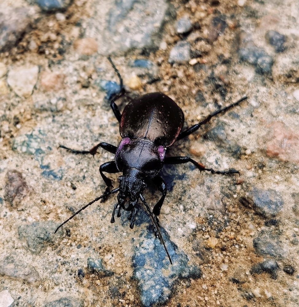 Photograph by Олика